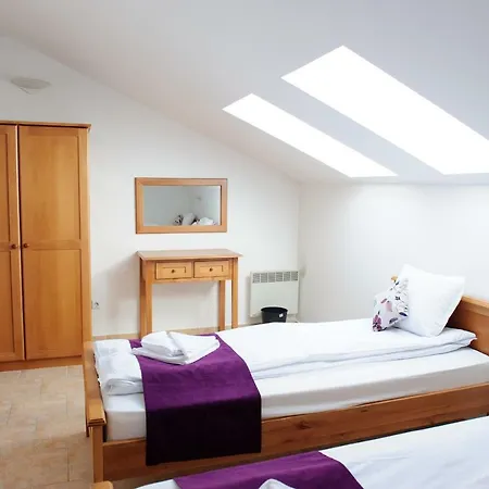 Apartment In Kamenitza *